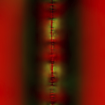 QUADRAT_01_001