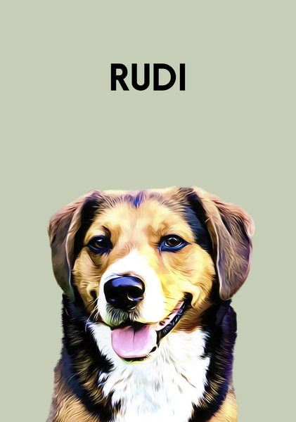 Rudi